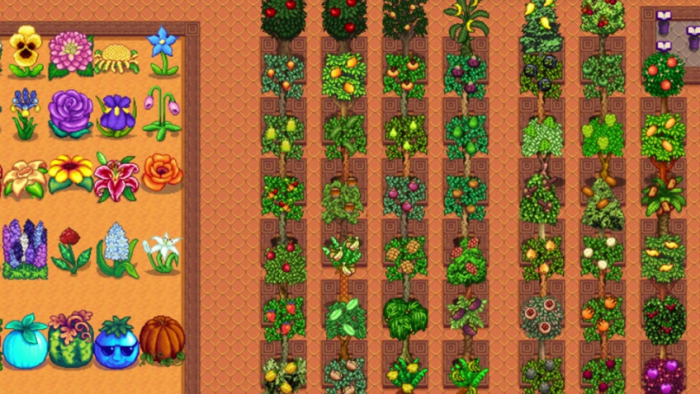 星露谷物语温室种什么果树1