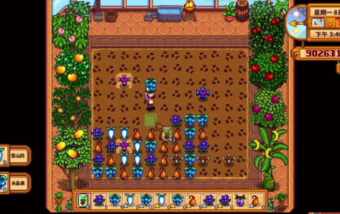 星露谷物语温室种什么果树2