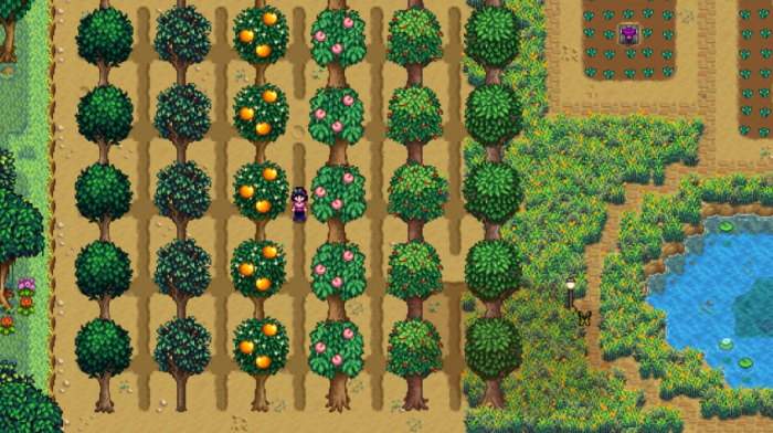 星露谷物语温室种什么果树3