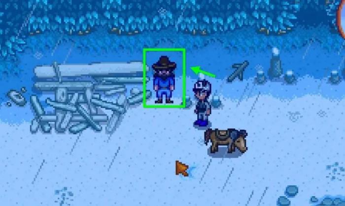 星露谷物语姜岛需要带什么1