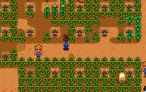 星露谷物语海莉如何攻略2