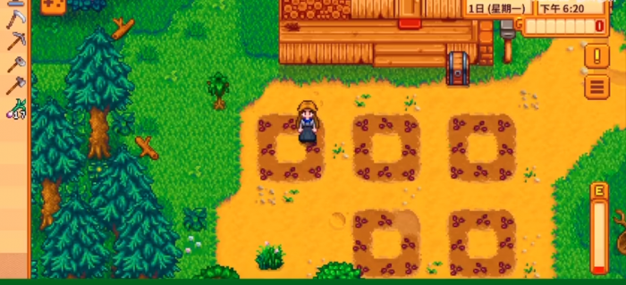 星露谷物语夏天能种什么1