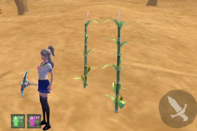 创魔玉米在里哪个位置_创魔玉米分布图