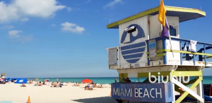 GTA6狂野之城秘籍有哪些 狂野之城秘籍汇总