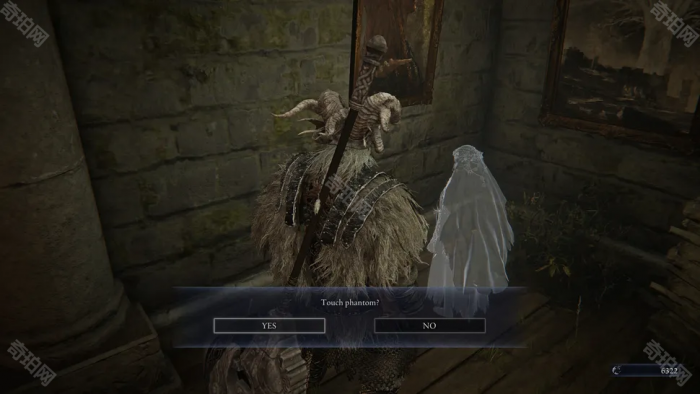 《艾尔登法环黑夜君临》复仇者角色解锁方法3