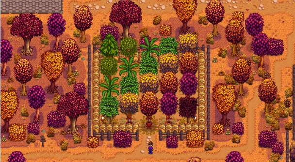 星露谷物语SvE旧社区中心花园有哪些玩法2