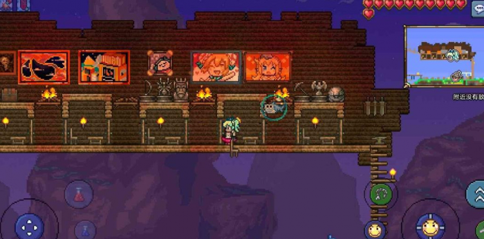 泰拉瑞亚前期应该干什么3