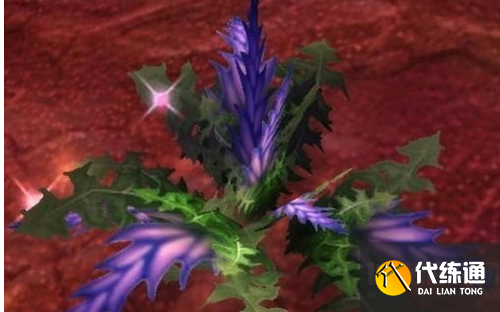 盲目草多少能采_盲目草多少能采收一次