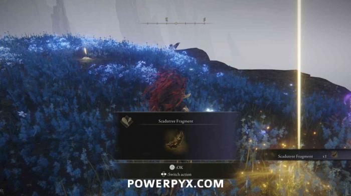 《艾尔登法环黄金树幽影》蔚蓝海岸幽影树碎片位置介绍3