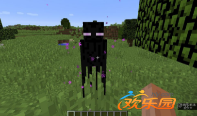 我的世界末影人_我的世界末影人英文